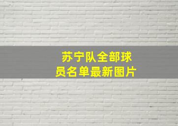 苏宁队全部球员名单最新图片