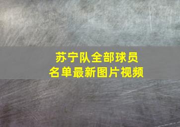 苏宁队全部球员名单最新图片视频