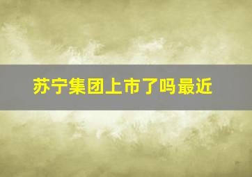 苏宁集团上市了吗最近