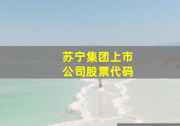 苏宁集团上市公司股票代码