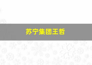 苏宁集团王哲