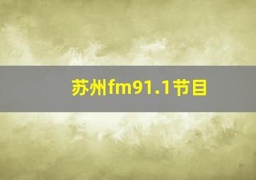 苏州fm91.1节目