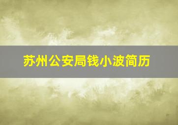 苏州公安局钱小波简历