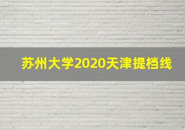 苏州大学2020天津提档线