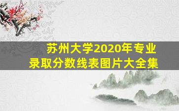 苏州大学2020年专业录取分数线表图片大全集