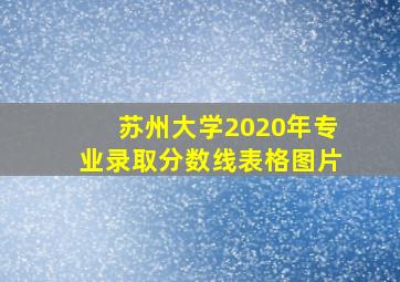 苏州大学2020年专业录取分数线表格图片