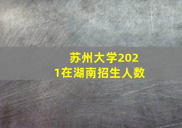 苏州大学2021在湖南招生人数