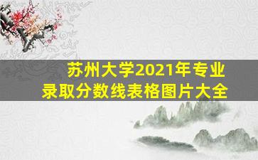 苏州大学2021年专业录取分数线表格图片大全