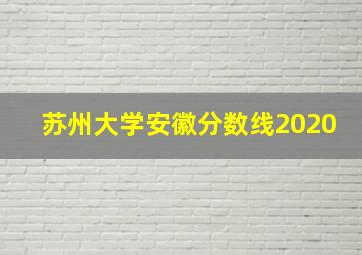 苏州大学安徽分数线2020