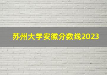 苏州大学安徽分数线2023