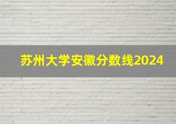 苏州大学安徽分数线2024