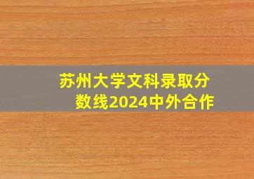 苏州大学文科录取分数线2024中外合作