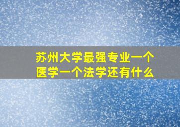 苏州大学最强专业一个医学一个法学还有什么