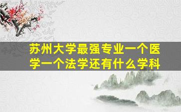 苏州大学最强专业一个医学一个法学还有什么学科