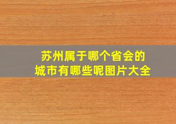 苏州属于哪个省会的城市有哪些呢图片大全