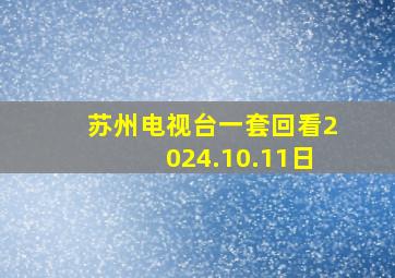 苏州电视台一套回看2024.10.11日