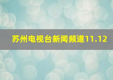 苏州电视台新闻频道11.12