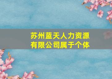 苏州蓝天人力资源有限公司属于个体