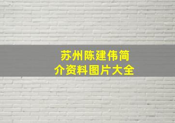 苏州陈建伟简介资料图片大全