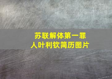 苏联解体第一罪人叶利钦简历图片