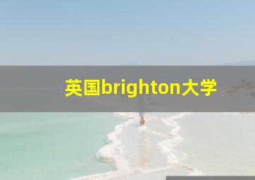 英国brighton大学