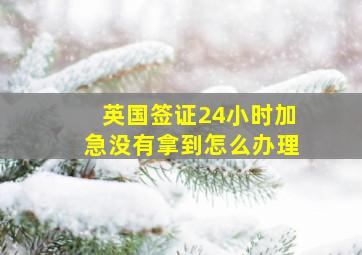 英国签证24小时加急没有拿到怎么办理