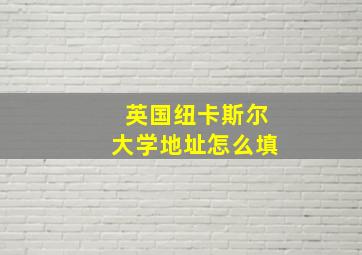 英国纽卡斯尔大学地址怎么填