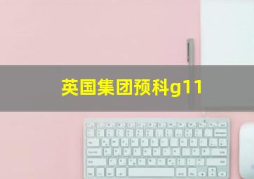 英国集团预科g11