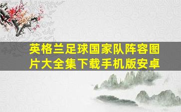 英格兰足球国家队阵容图片大全集下载手机版安卓