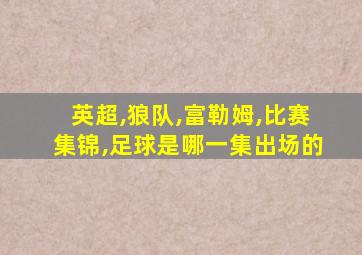 英超,狼队,富勒姆,比赛集锦,足球是哪一集出场的