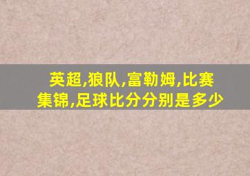 英超,狼队,富勒姆,比赛集锦,足球比分分别是多少