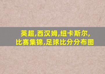 英超,西汉姆,纽卡斯尔,比赛集锦,足球比分分布图