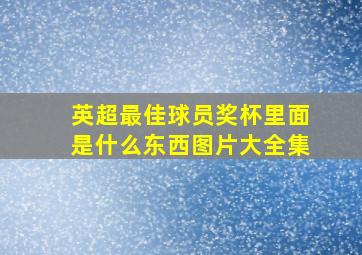 英超最佳球员奖杯里面是什么东西图片大全集