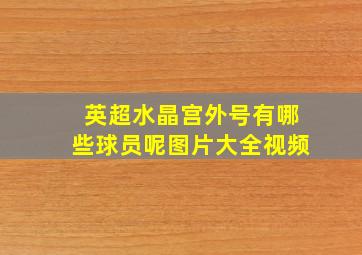 英超水晶宫外号有哪些球员呢图片大全视频