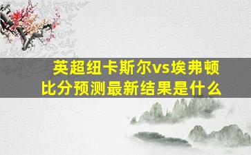 英超纽卡斯尔vs埃弗顿比分预测最新结果是什么