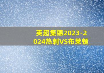 英超集锦2023-2024热刺VS布莱顿