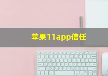 苹果11app信任