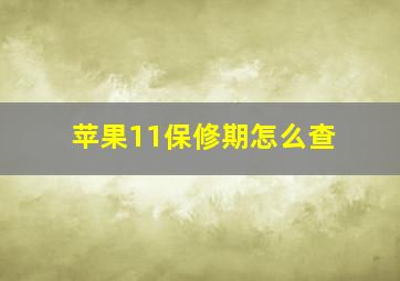 苹果11保修期怎么查