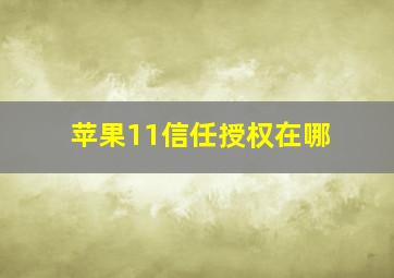 苹果11信任授权在哪