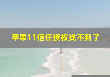 苹果11信任授权找不到了