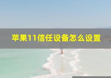 苹果11信任设备怎么设置