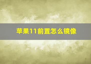 苹果11前置怎么镜像