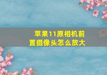 苹果11原相机前置摄像头怎么放大