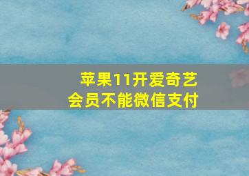 苹果11开爱奇艺会员不能微信支付