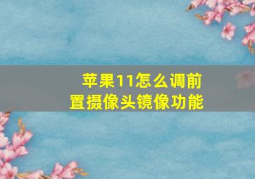 苹果11怎么调前置摄像头镜像功能