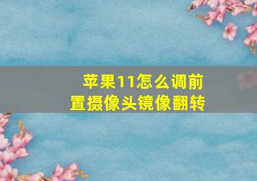 苹果11怎么调前置摄像头镜像翻转