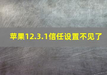 苹果12.3.1信任设置不见了