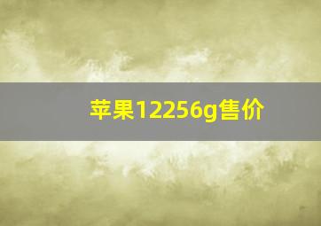 苹果12256g售价