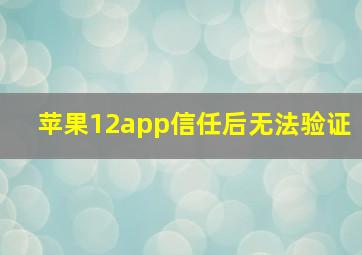 苹果12app信任后无法验证