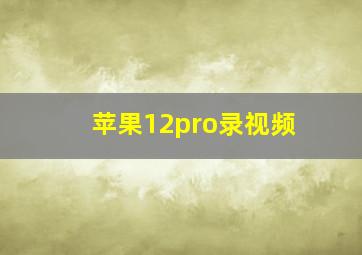 苹果12pro录视频